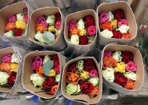 Купить розы оптом по низким ценам в Челябинске